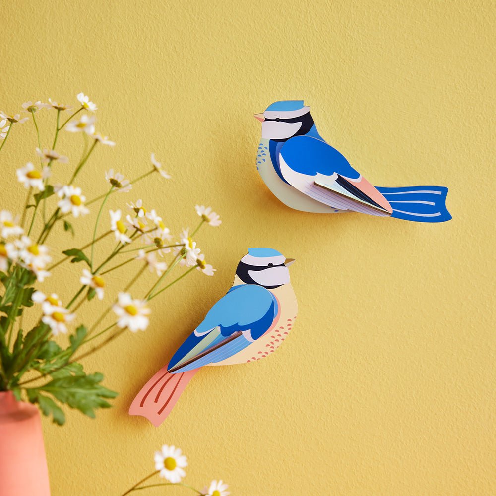 Garden Bird - Blue Tits