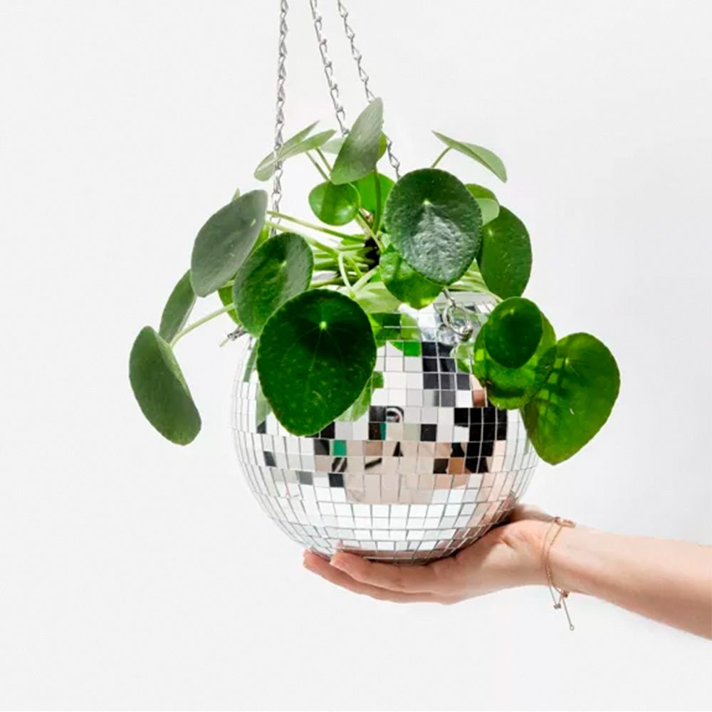 Grande jardinière suspendue boule disco