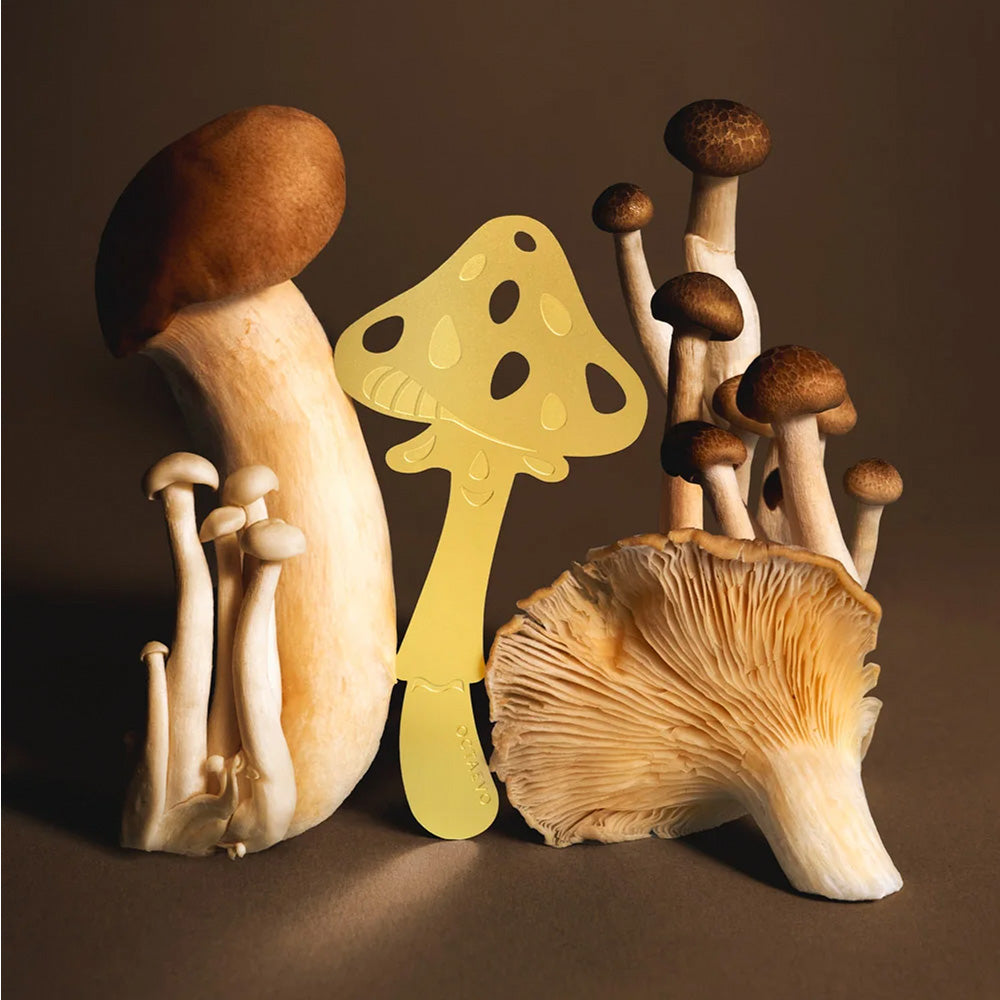 Bookmark Magic Mushroom