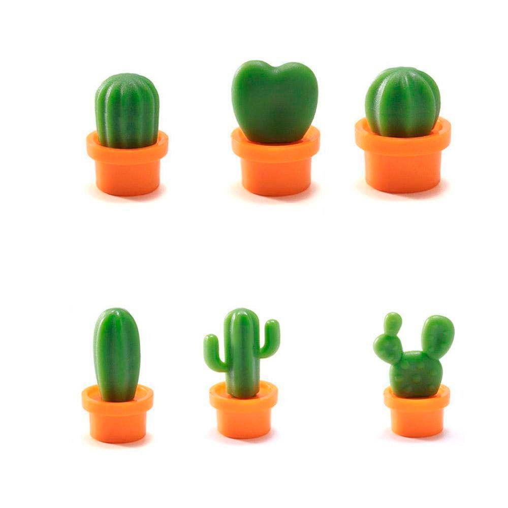 Mini-aimants cactus