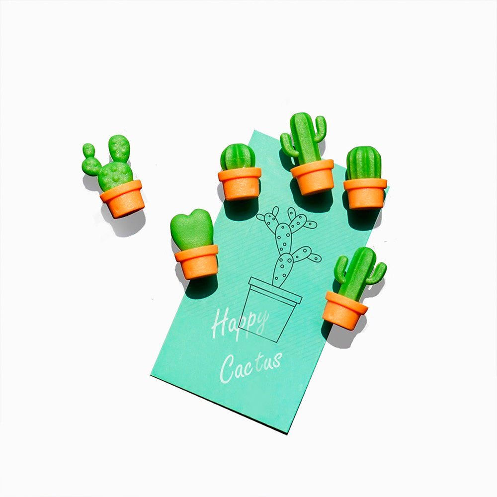 Mini-aimants cactus