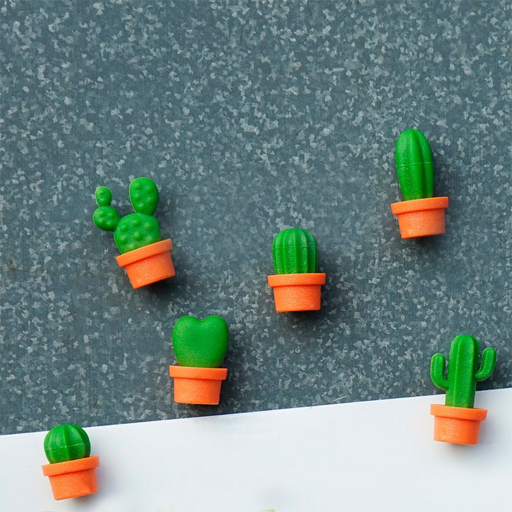 Mini-aimants cactus