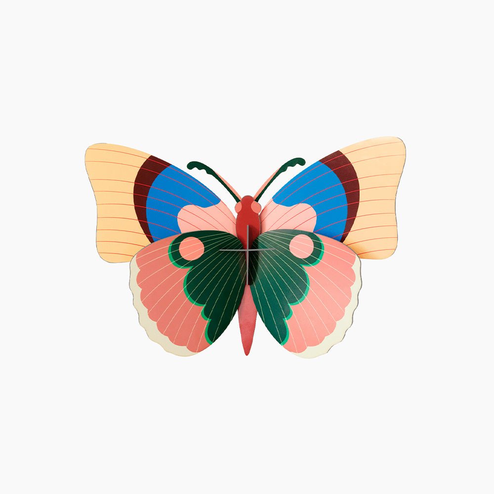 Cepora - Butterfly