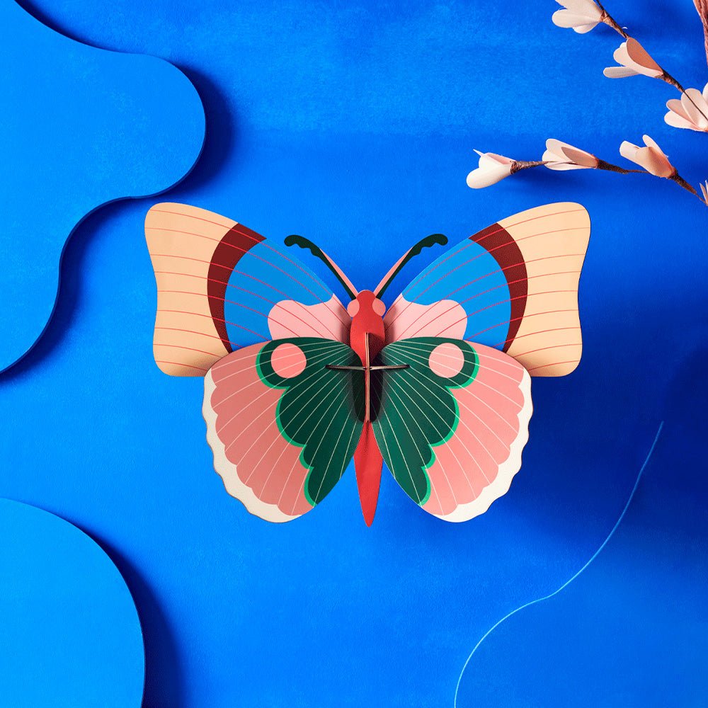 Cepora - Butterfly