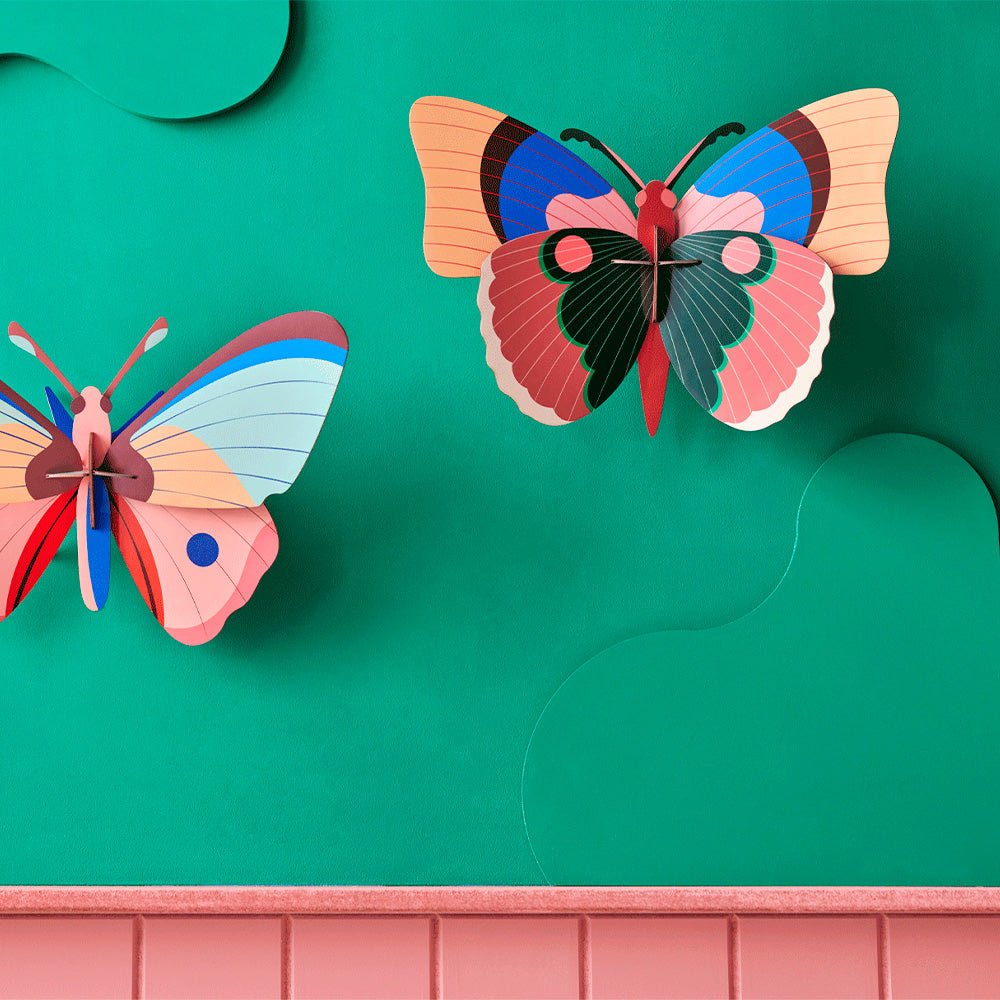 Cepora - Butterfly