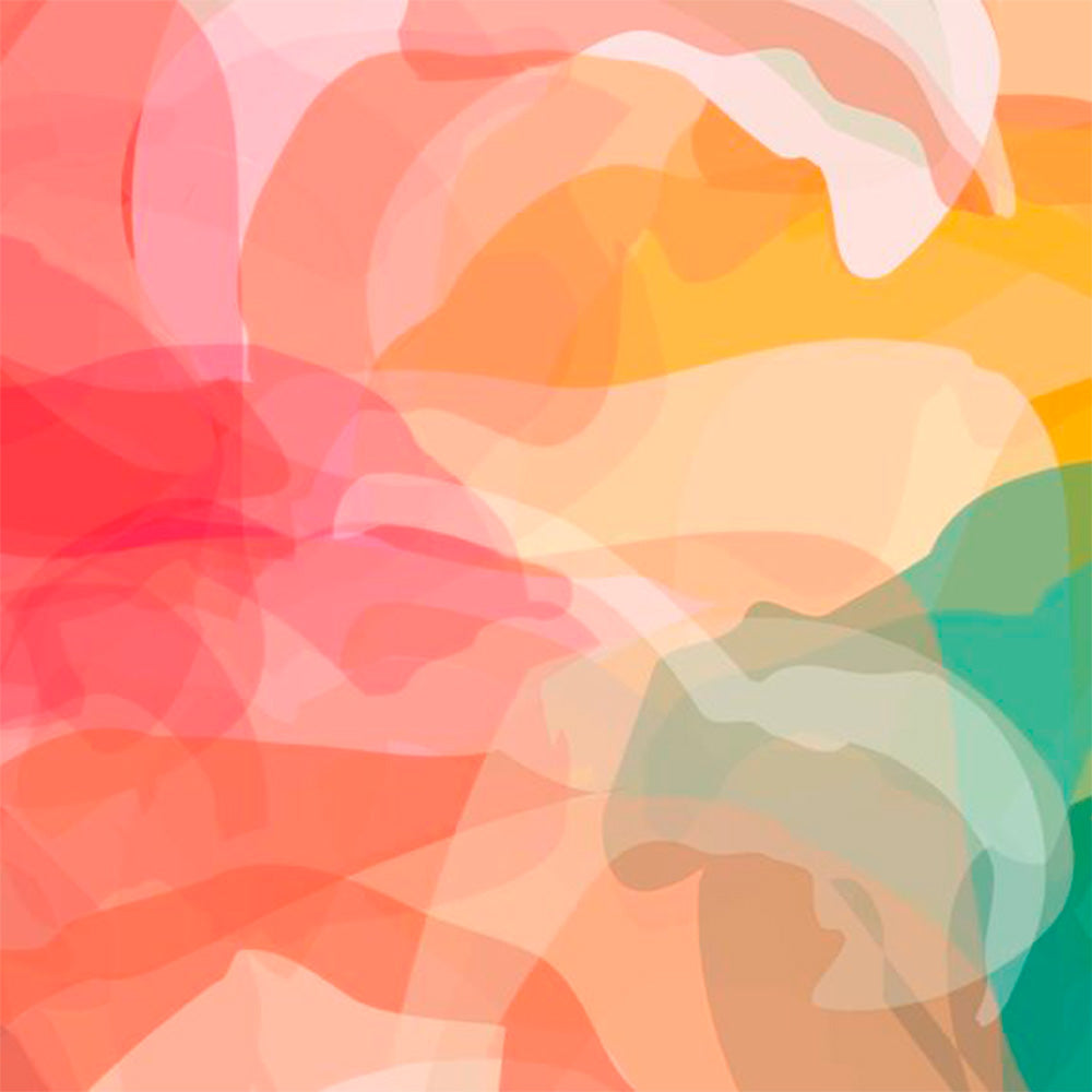 Éventail D'harmonie de Couleurs Standard