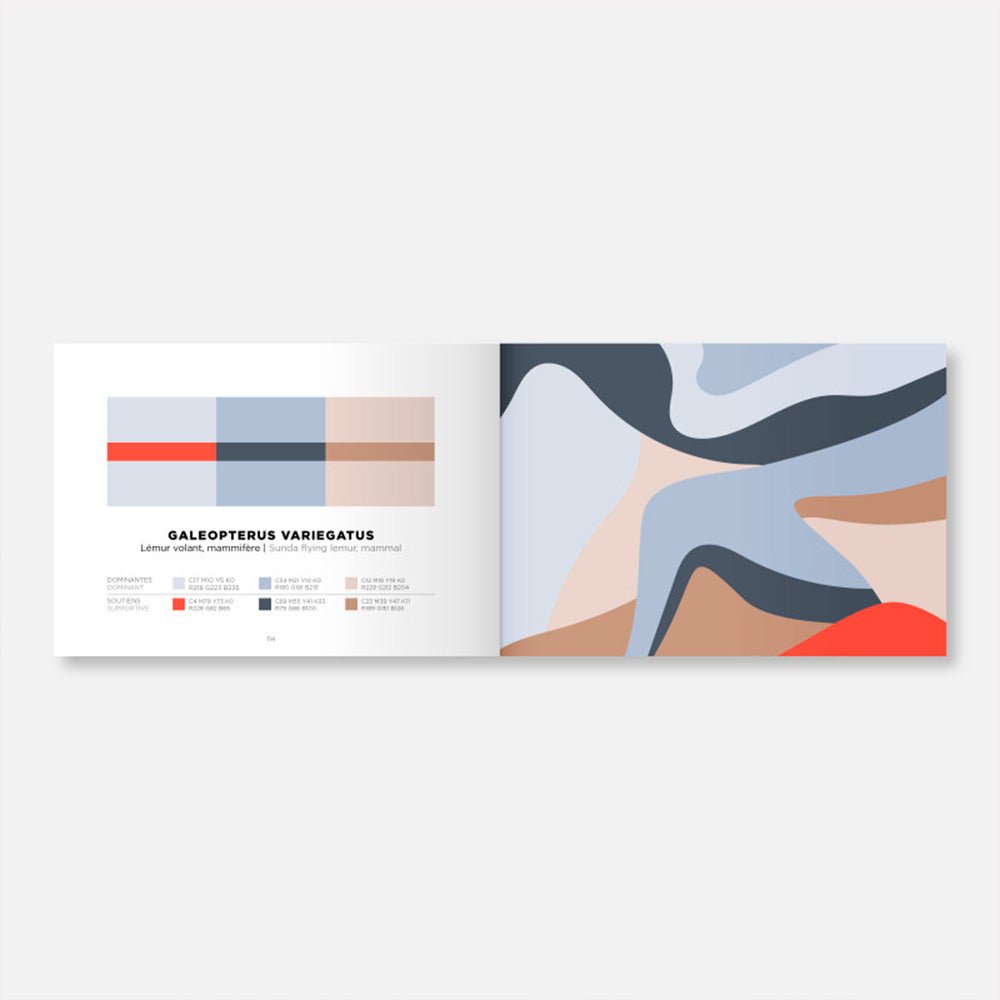 Libro de Inspiración Colors Volumen 2