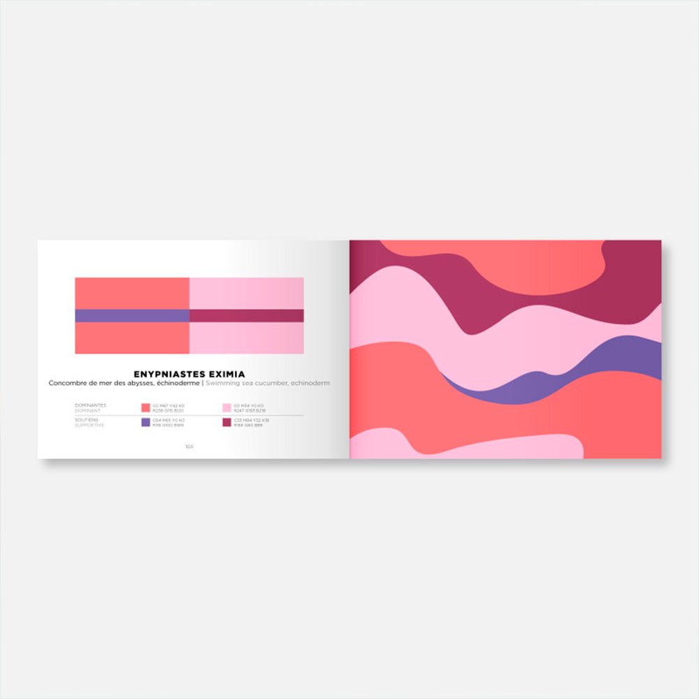 Libro de Inspiración Colors Volumen 2
