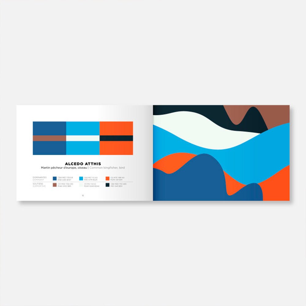 Libro de Inspiración Colors Volumen 2