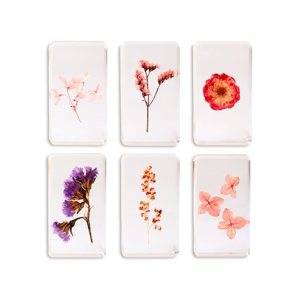 Forget me not - Cube Wildflower