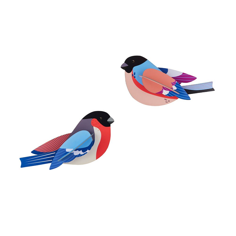 Garden Bird - Finches