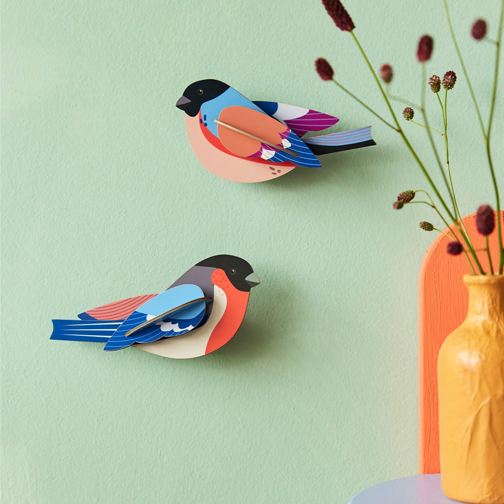 Garden Bird - Finches