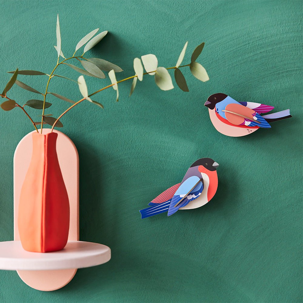 Garden Bird - Finches