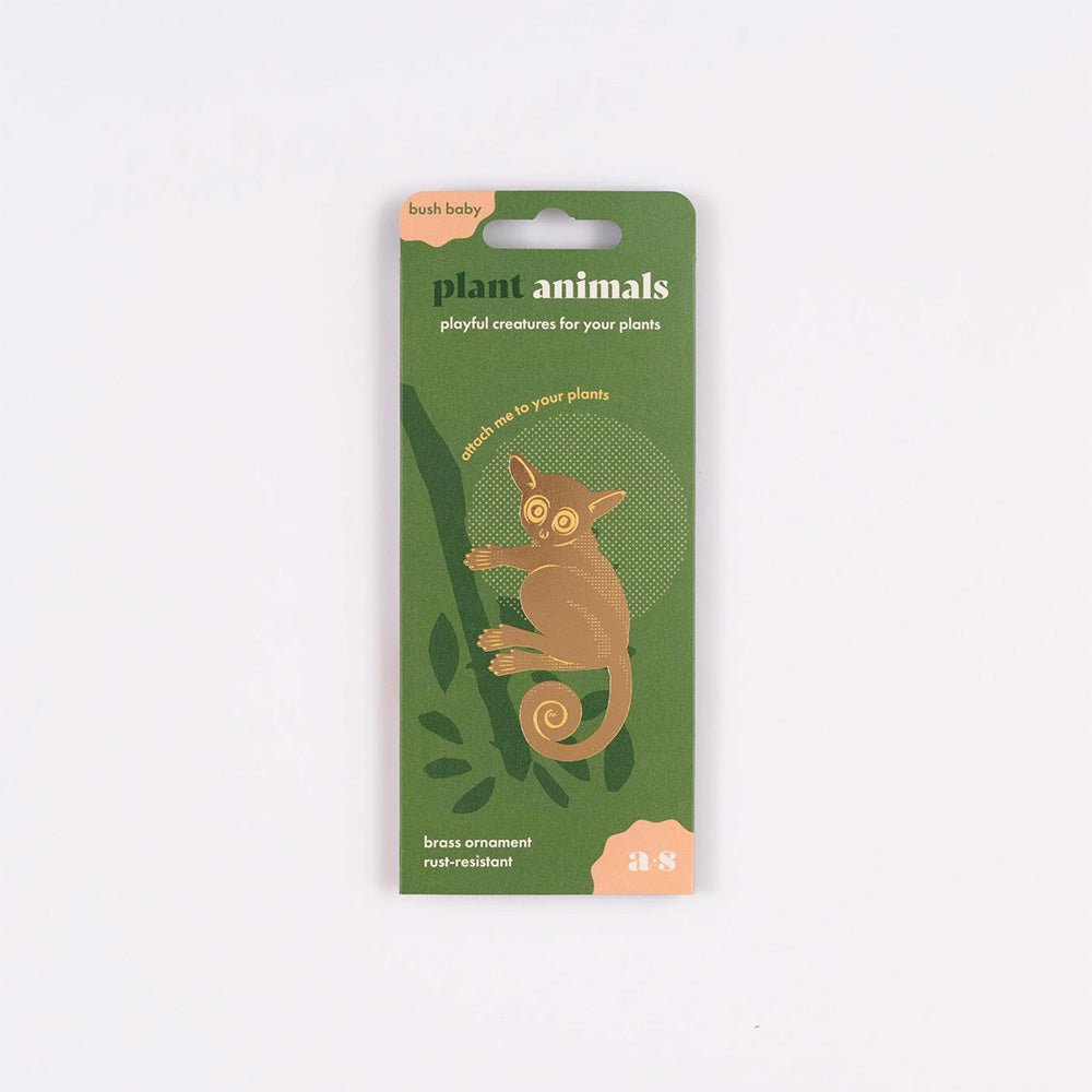 Animal para Plantas Galago Baby