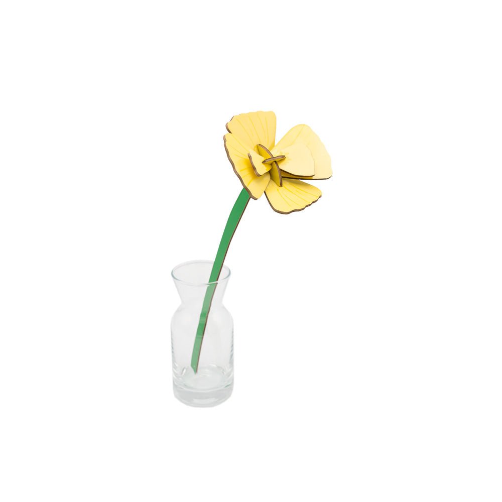 Small Everlasting Flowers - Golden Poppy