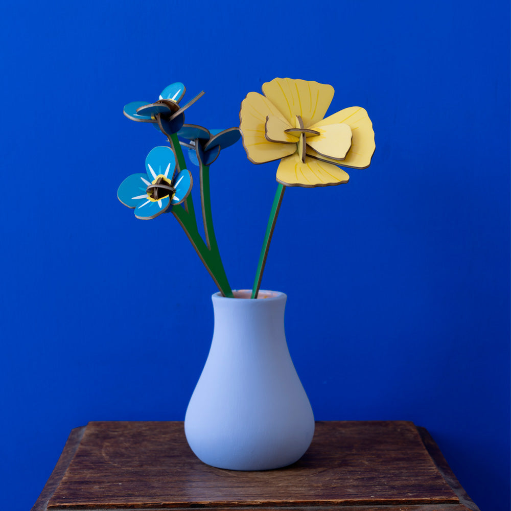 Small Everlasting Flowers - Golden Poppy