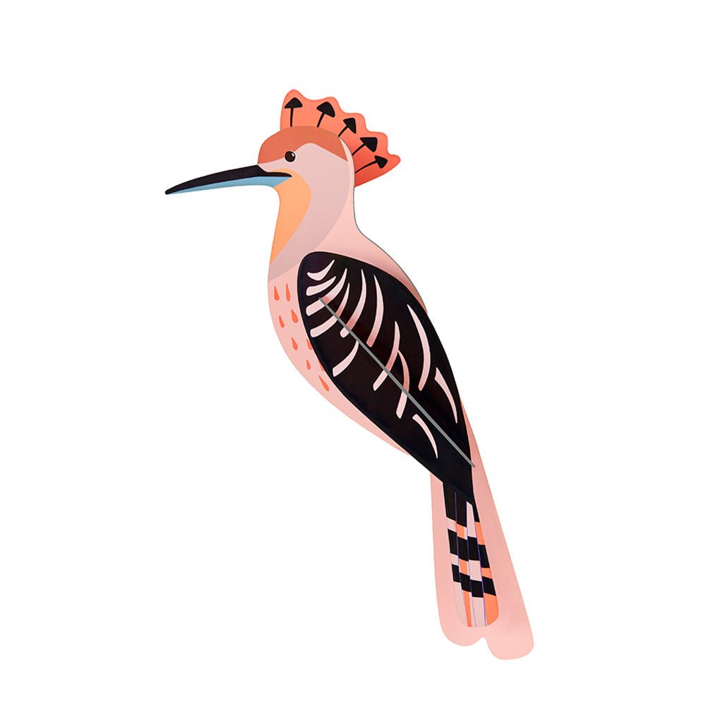 Garden Bird - Hoopoe