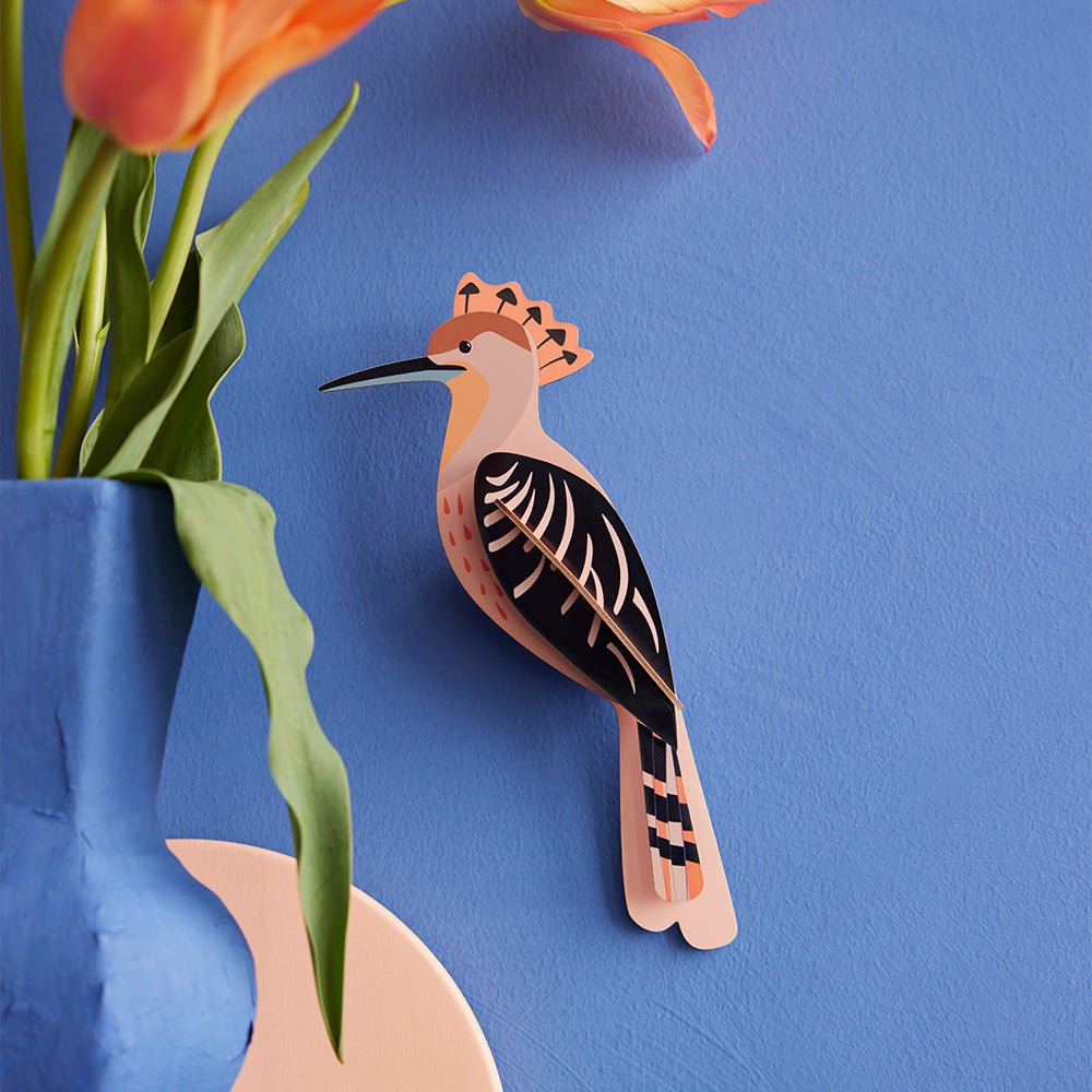 Garden Bird - Hoopoe