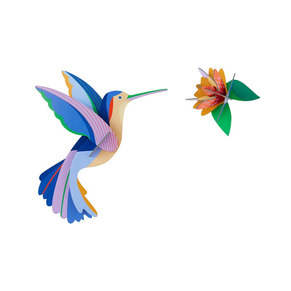 Paradise Bird - Hummingbird
