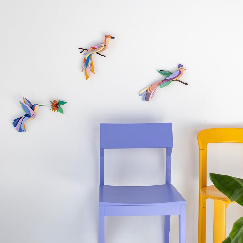 Paradise Bird - Hummingbird