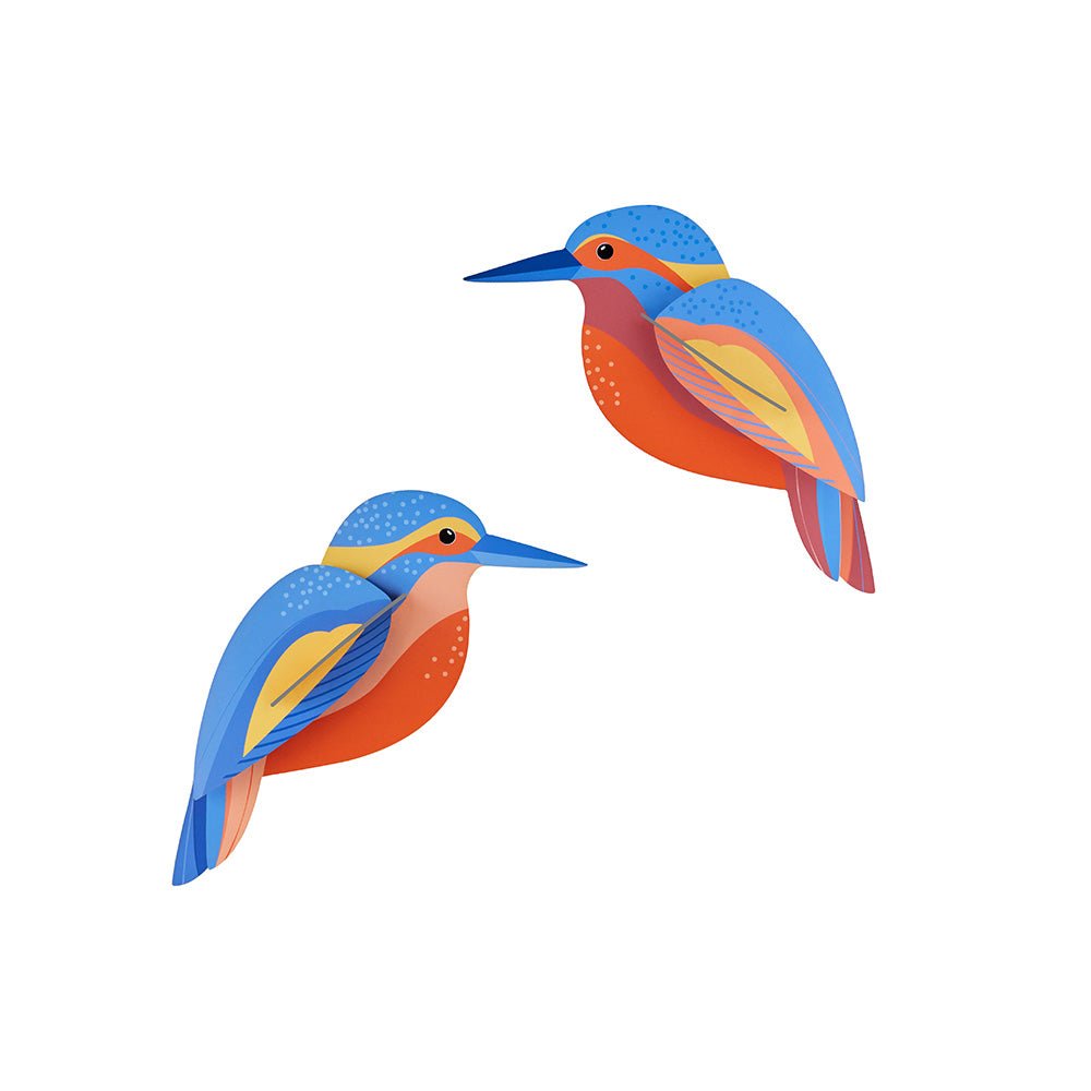 Garden Bird - Kingfishers