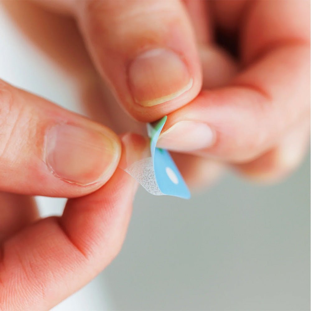 Pegatinas Transparente KITTA Theme Icon