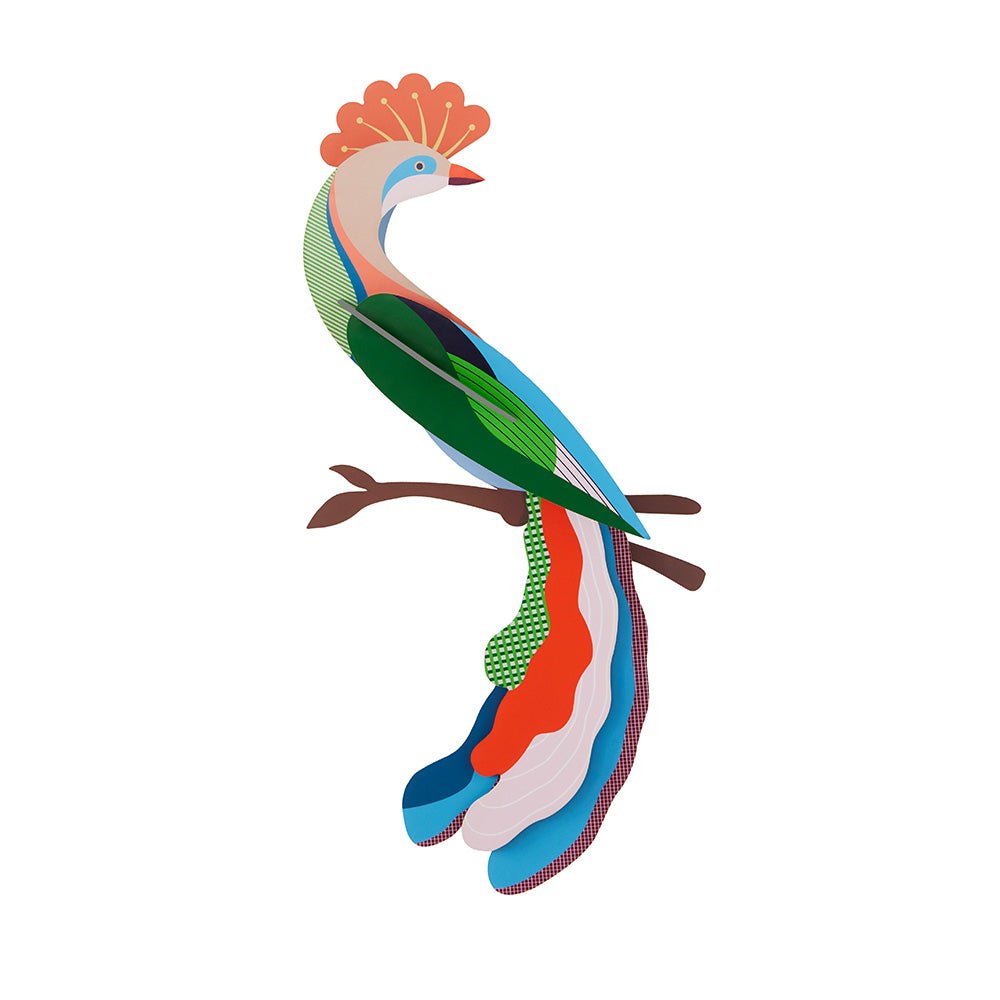 Paradise Bird - Meti