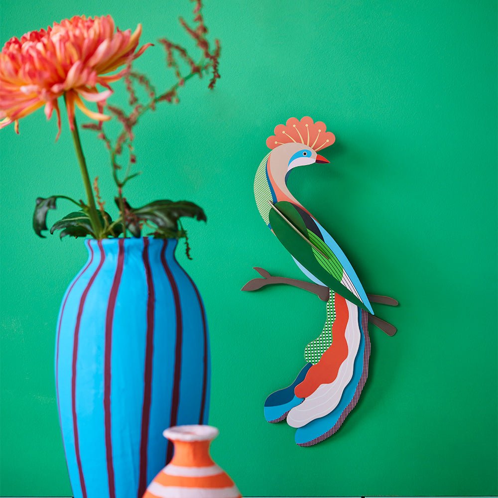 Paradise Bird - Meti