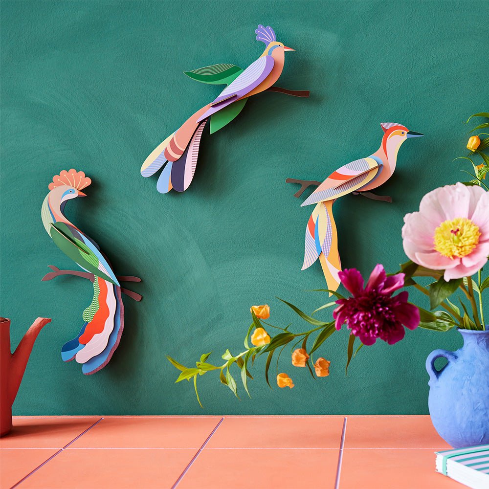 Paradise Bird - Meti