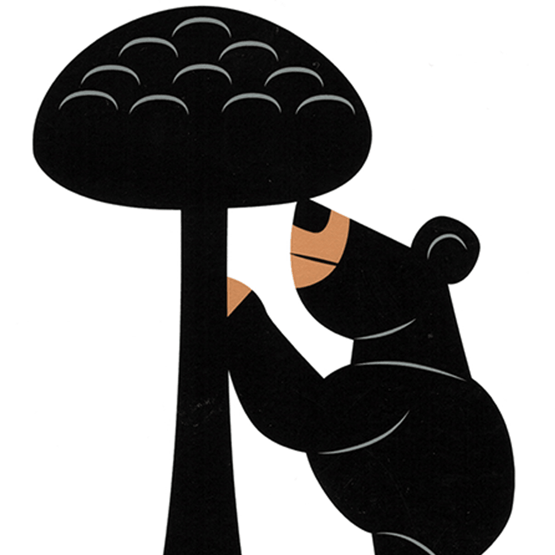 Oso Madroño Letras Giclée Print