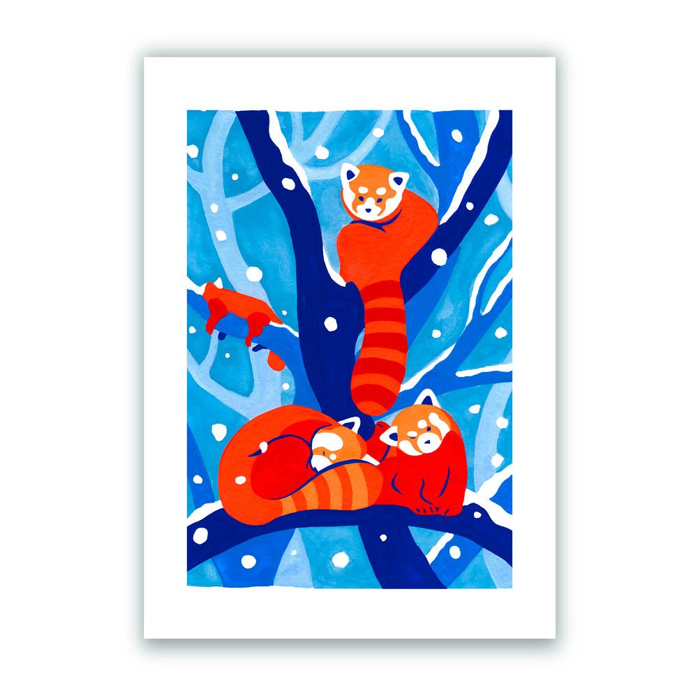 Panda Roux Impresión Giclée