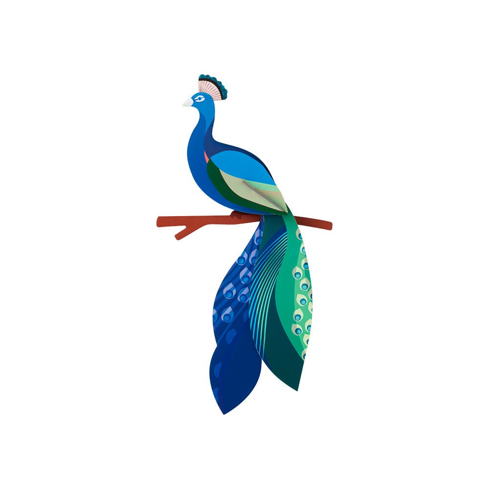 Oiseau de paradis - Paon