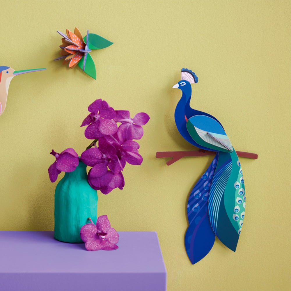 Oiseau de paradis - Paon