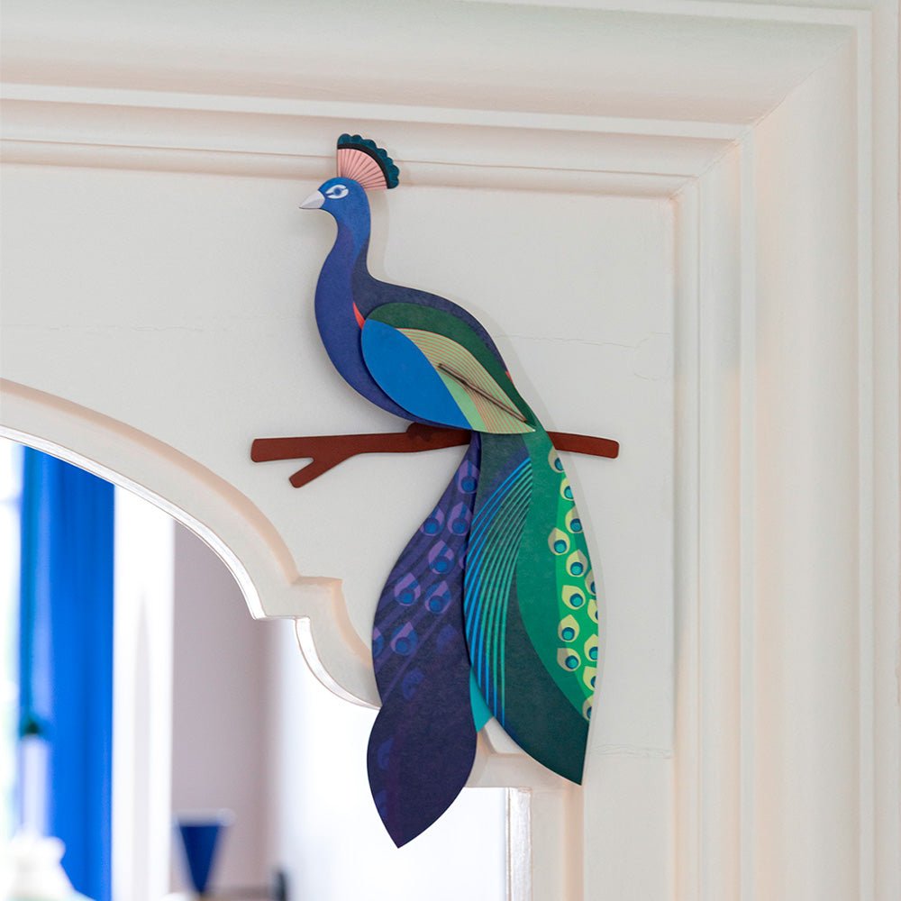 Oiseau de paradis - Paon