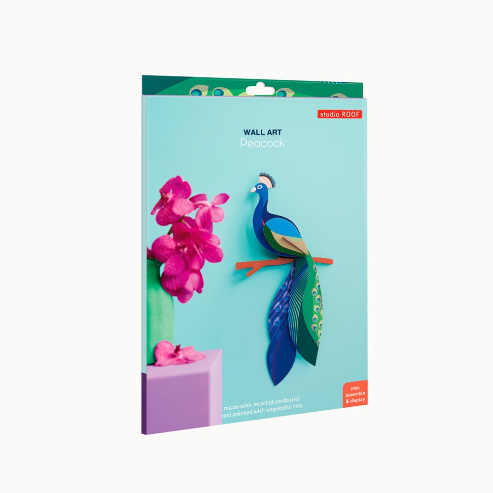 Oiseau de paradis - Paon