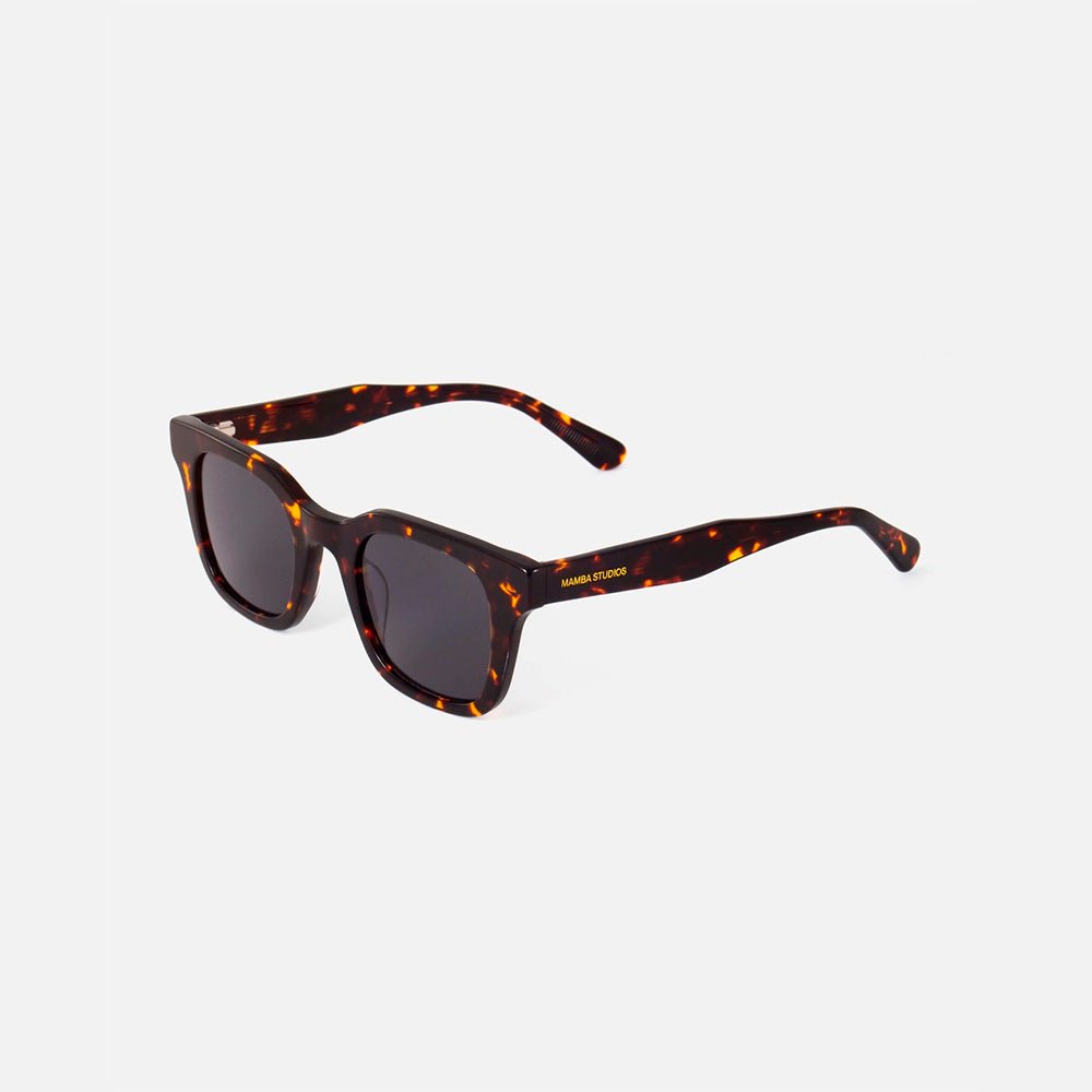 Gafas Paros Tortoise