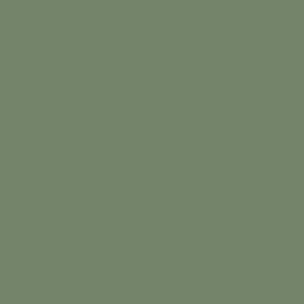 Power Beam 2 Meters - Mossy Green