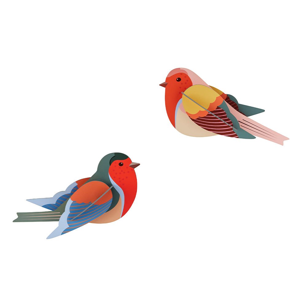 Garden Bird - Robins