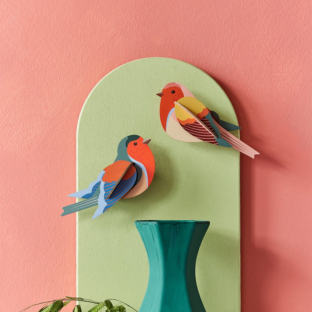 Garden Bird - Robins