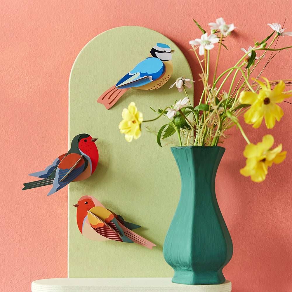 Garden Bird - Robins