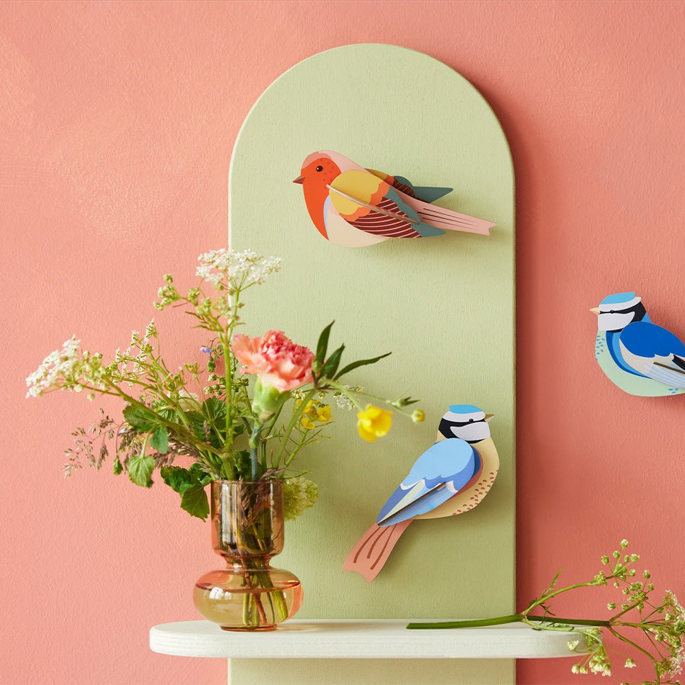 Garden Bird - Robins