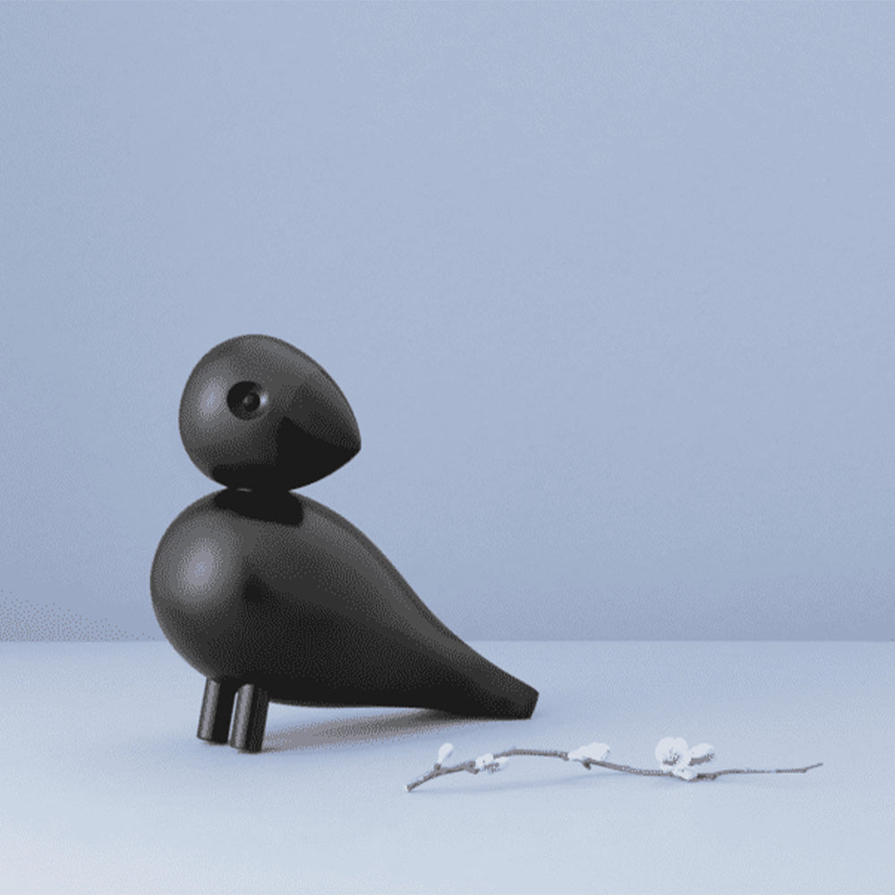Pájaro Songbird Ravn Negro