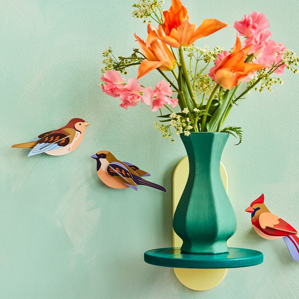 Garden Bird - Sparrows