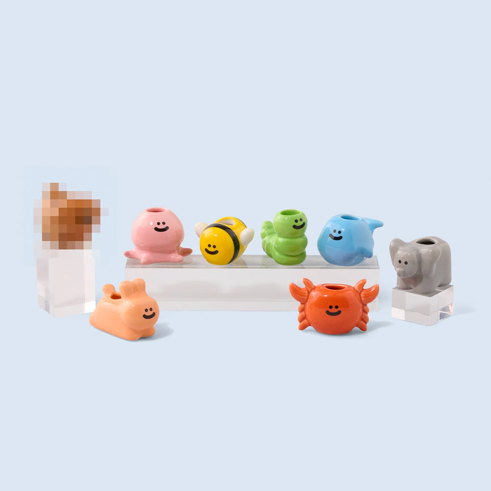 Caja Sorpresa Animales