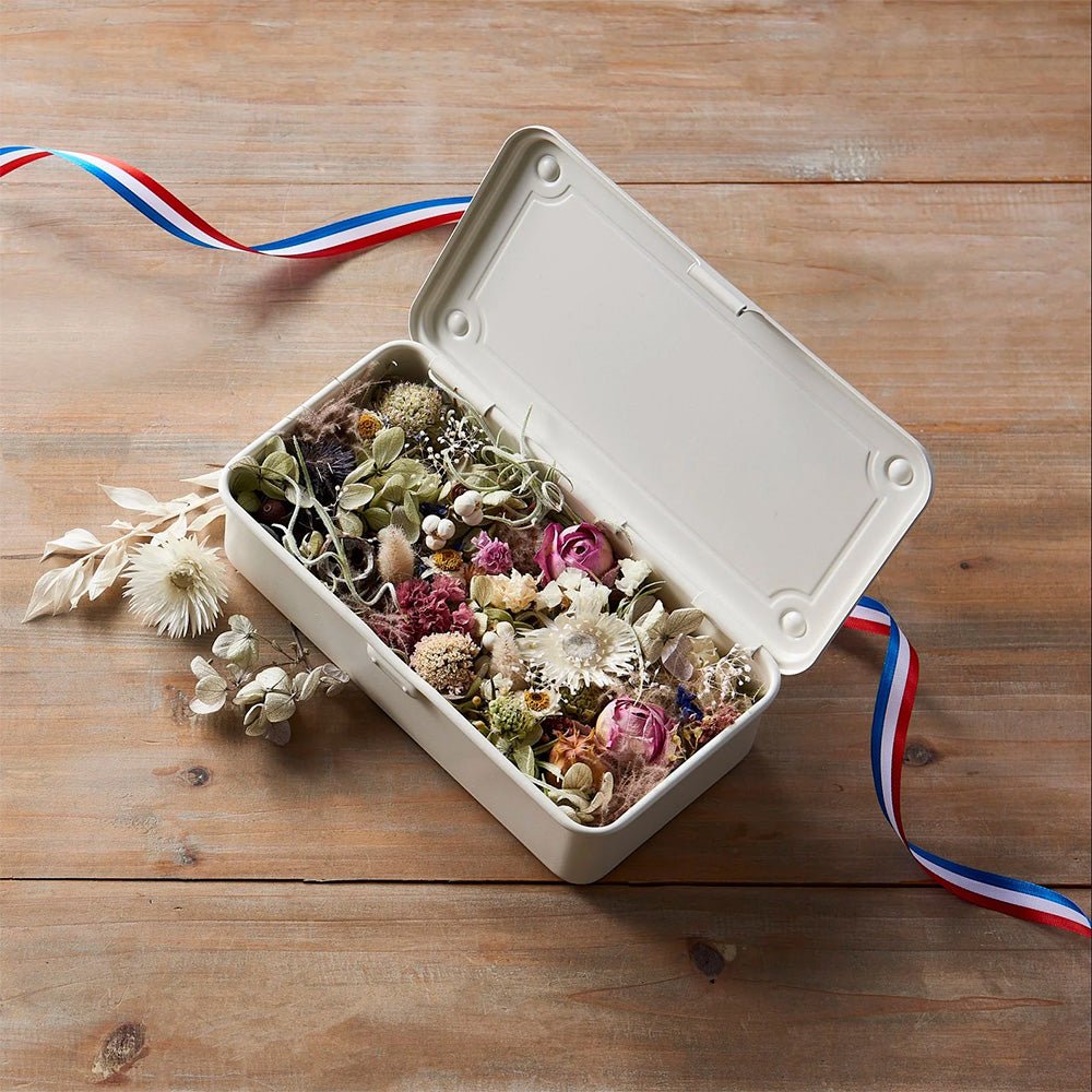 Caja de Herramientas T-190 Blanco