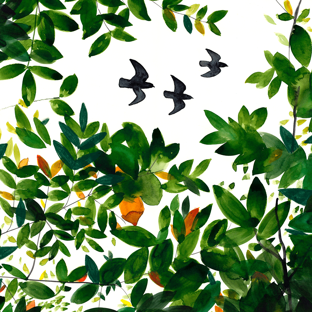 Tree Tops Impresión Giclée
