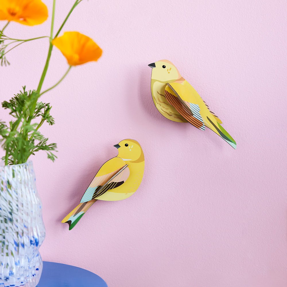 Oiseau de jardin - Couple de Citrinelles