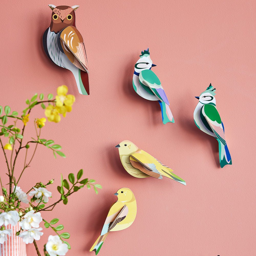 Oiseau de jardin - Crêtes forestières
