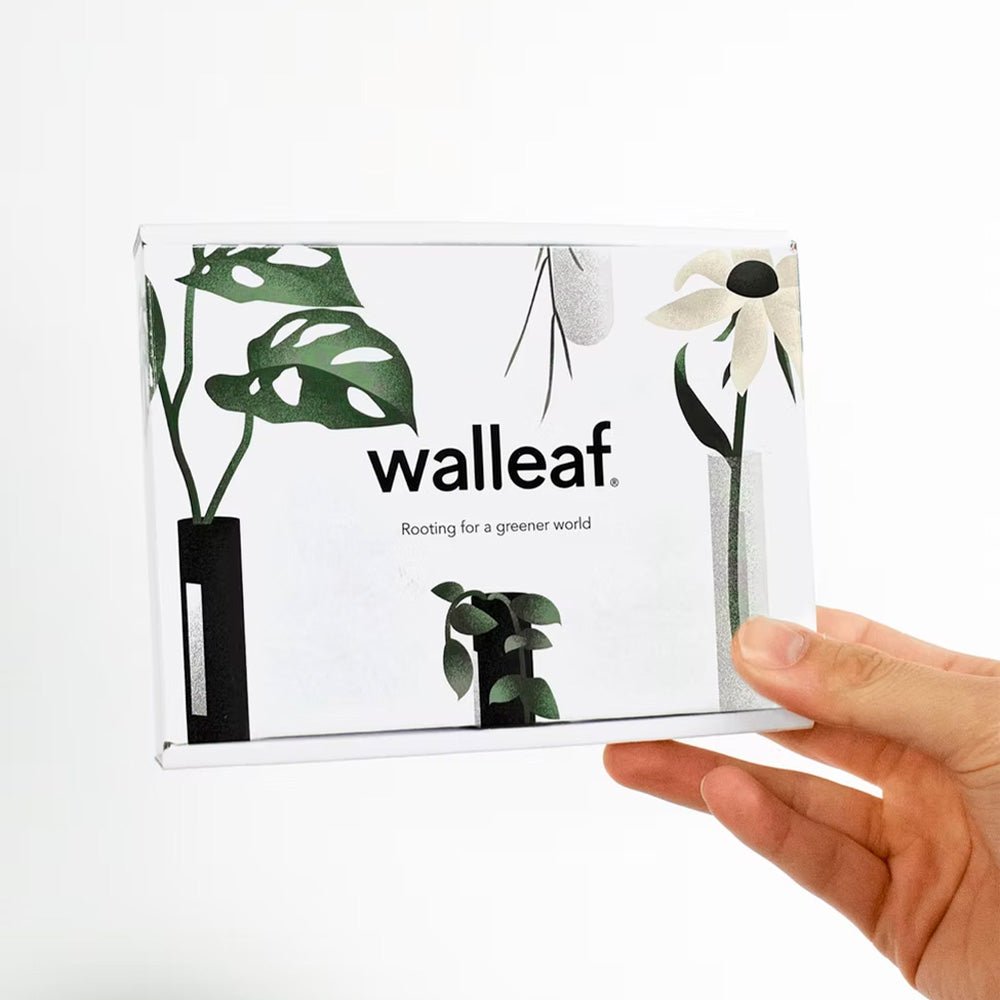 Walleaf Rosa (set de 3)