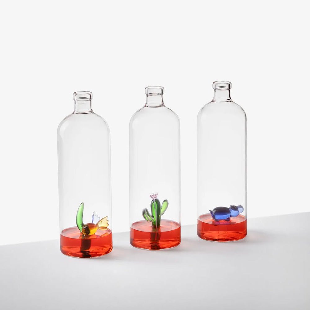 Bouteille avec des plantes du désert de cactus